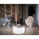 Smart-Trinkbrunnen für Haustiere 3l 230V Wi-Fi